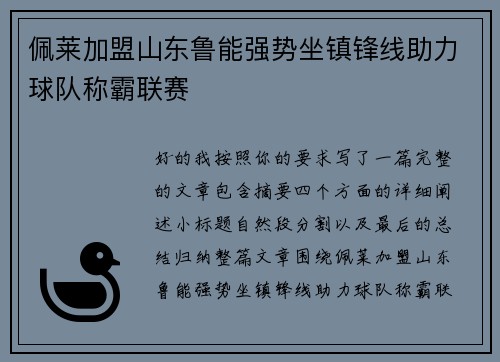 佩莱加盟山东鲁能强势坐镇锋线助力球队称霸联赛 佩莱加盟山东鲁能强势坐镇锋线助力球队称霸联赛